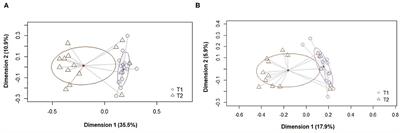 Replacement of Metaphylactic Antimicrobial Therapy by Oral Administration of Ligilactobacillus salivarius MP100 in a Pig Farm